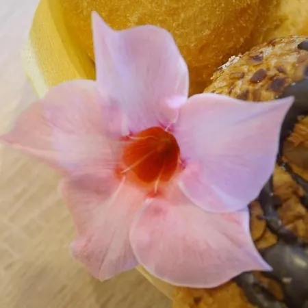 Siebert By Interhome Apartment