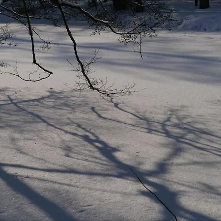 Siebert By Interhome * باد برامباخ