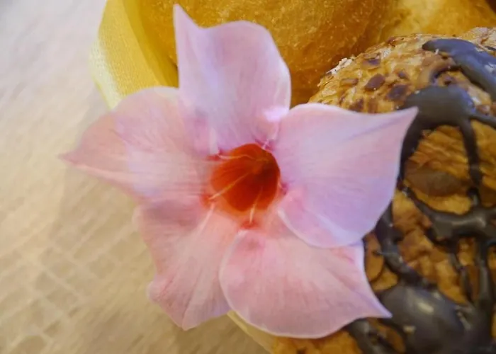 Siebert By Interhome Apartment