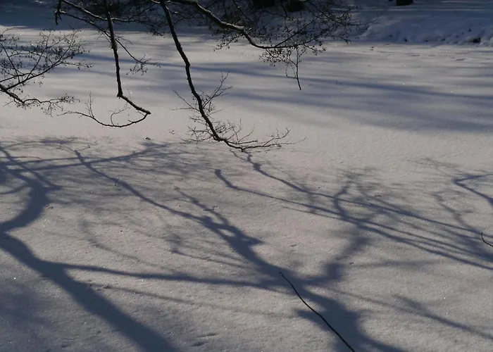 Siebert By Interhome * باد برامباخ